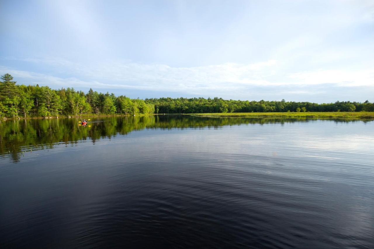 Mersey River Chalets A Nature Retreat Caledonia Εξωτερικό φωτογραφία