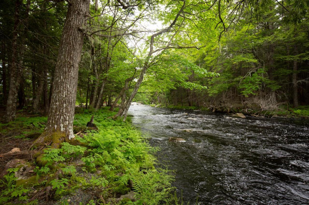 Mersey River Chalets A Nature Retreat Caledonia Εξωτερικό φωτογραφία