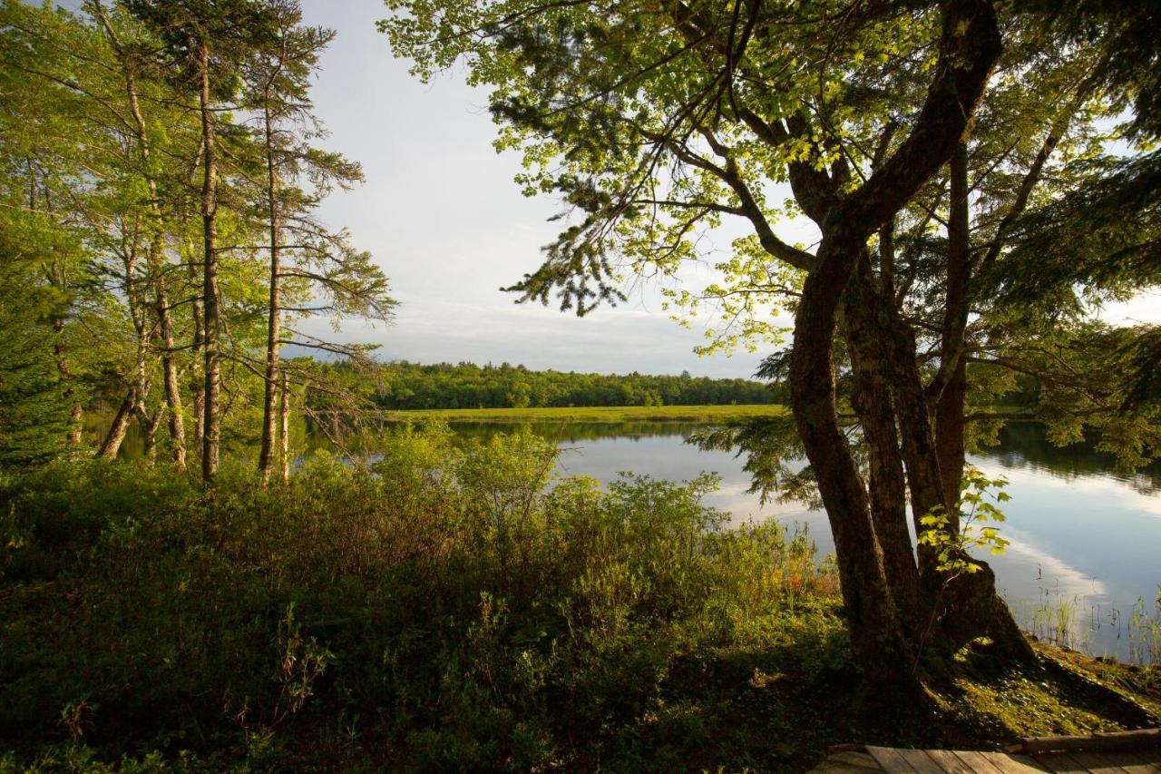 Mersey River Chalets A Nature Retreat Caledonia Εξωτερικό φωτογραφία