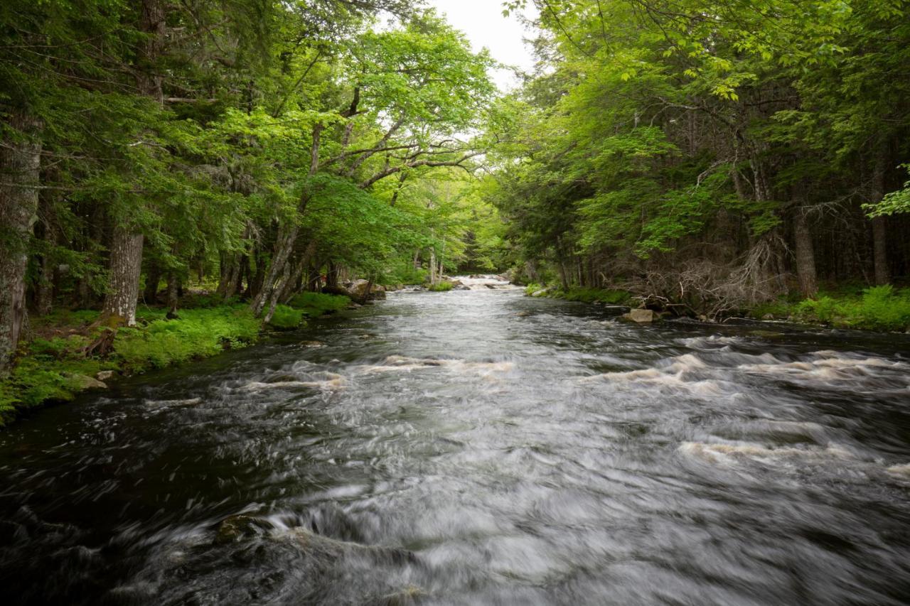 Mersey River Chalets A Nature Retreat Caledonia Εξωτερικό φωτογραφία
