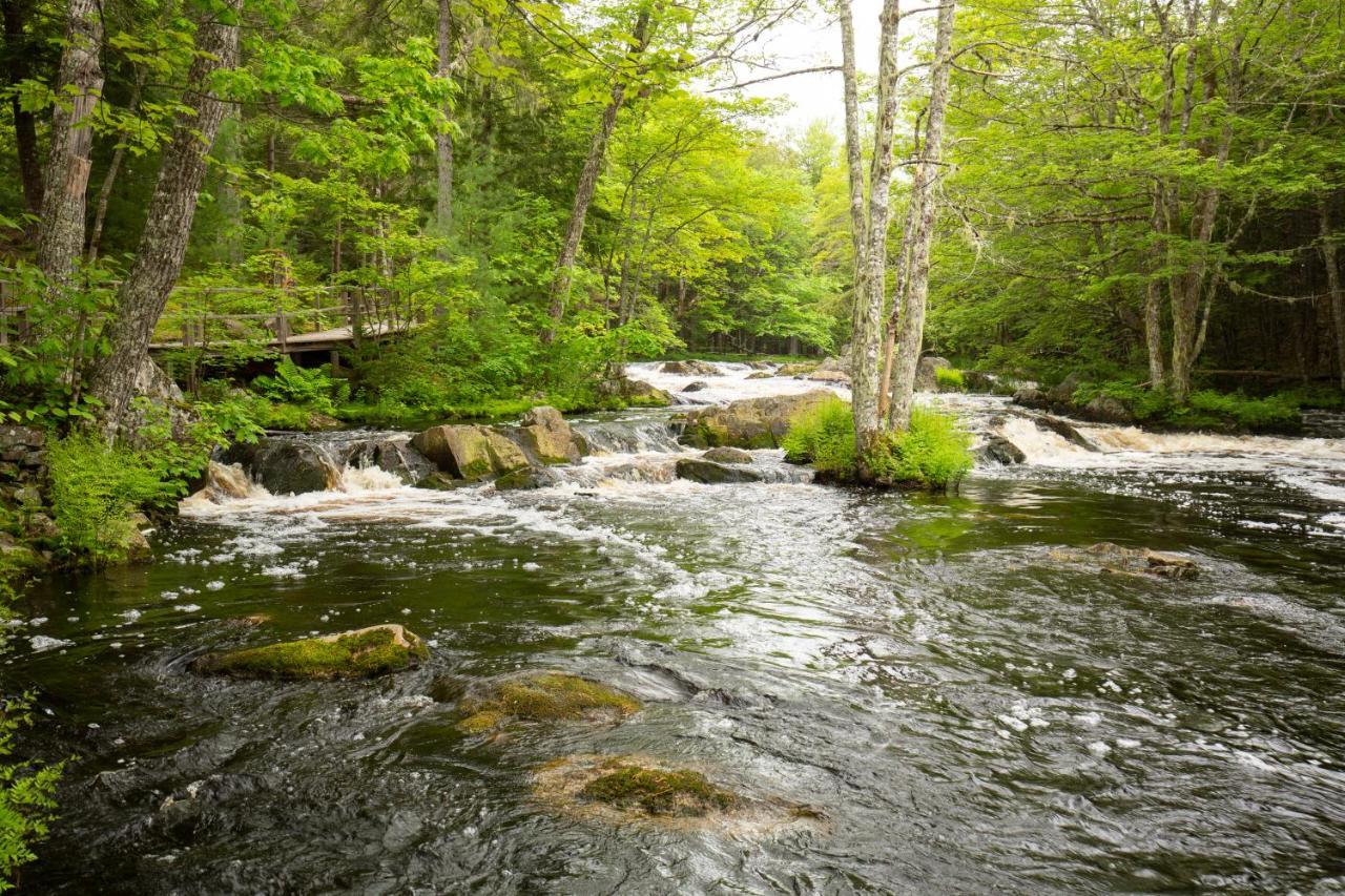 Mersey River Chalets A Nature Retreat Caledonia Εξωτερικό φωτογραφία