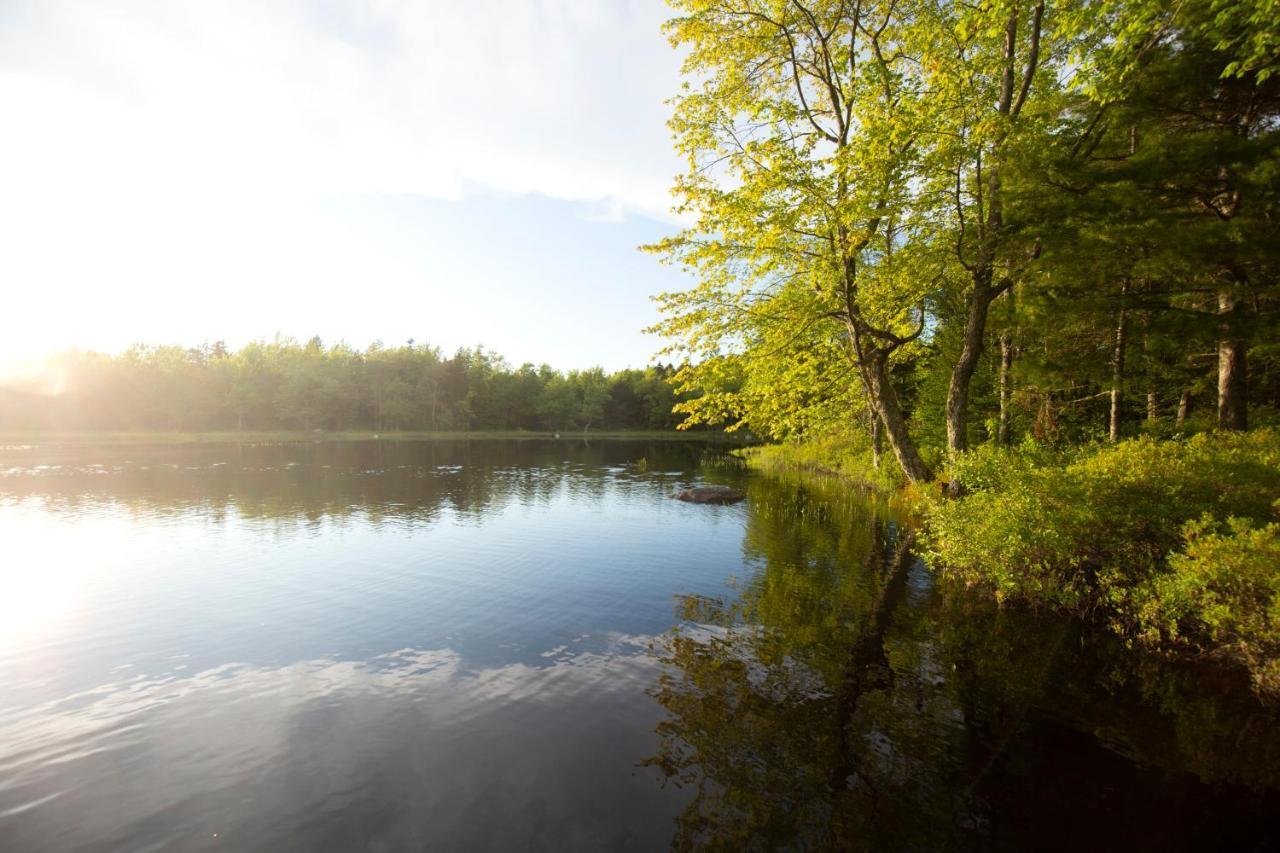 Mersey River Chalets A Nature Retreat Caledonia Εξωτερικό φωτογραφία