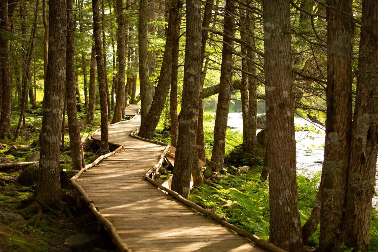 Mersey River Chalets A Nature Retreat Caledonia Εξωτερικό φωτογραφία