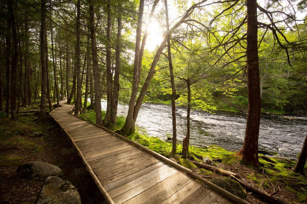 Mersey River Chalets A Nature Retreat Caledonia Εξωτερικό φωτογραφία